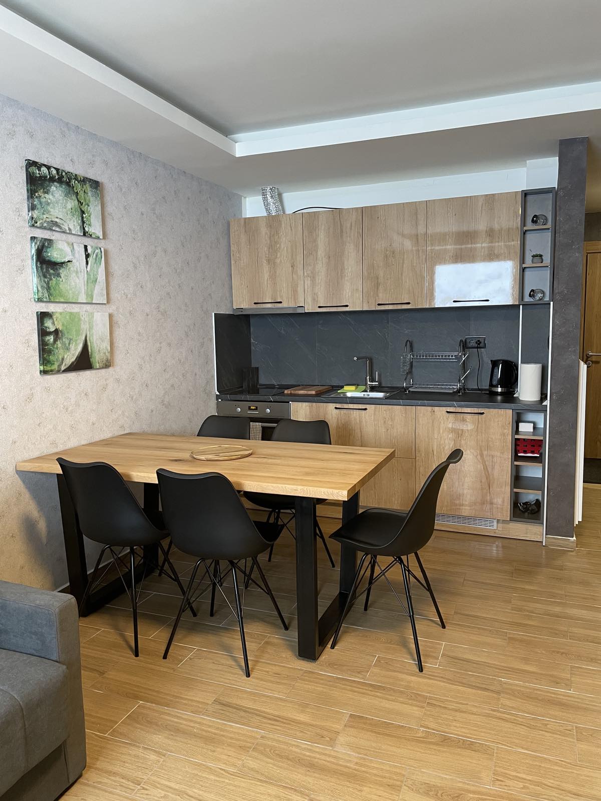 Suncana Planina - Studio 5 Centar - Photo 3