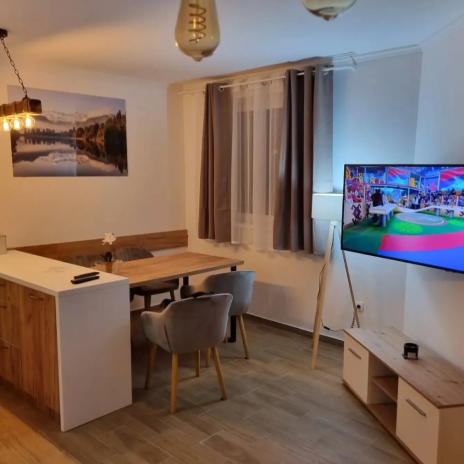 Suncana Planina - Apt 04 - Photo 3