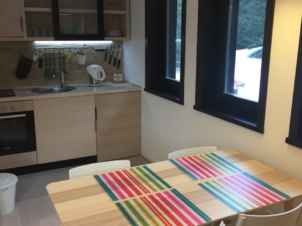 Ap09 Kamena Kuca - Centar  - Photo 4