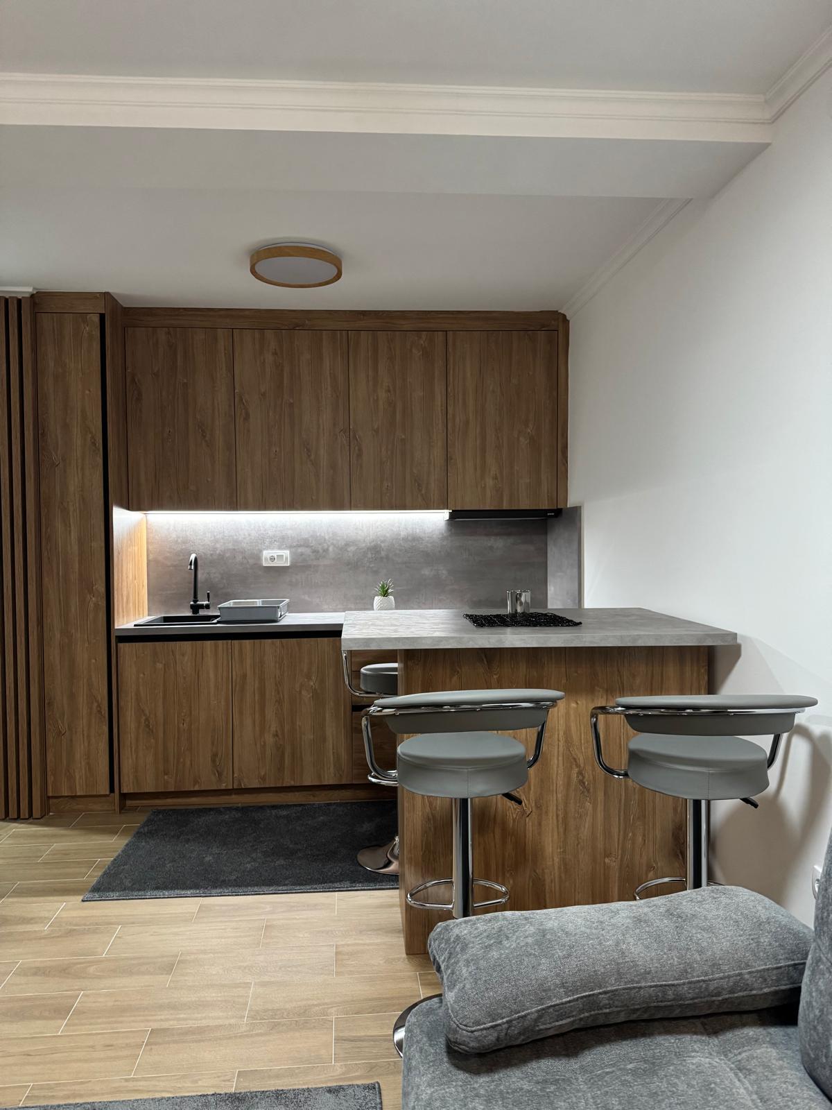 Sunčana Planina Apt01 - Photo 2