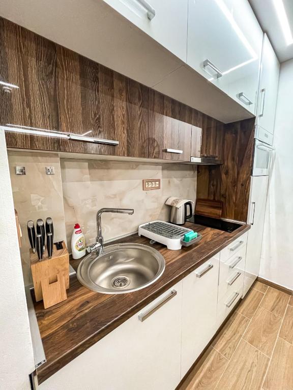 Suncana Planina - Studio 8 i 9 Centar - Photo 4