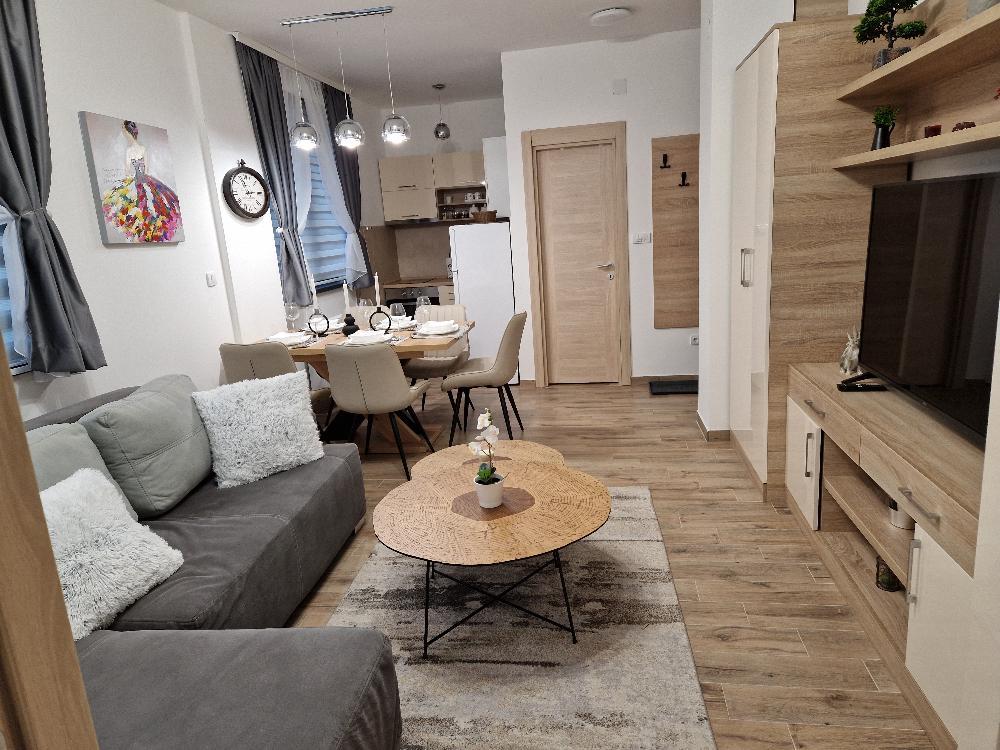 Apartman u Vili Montana Trajkovic  - Photo 1