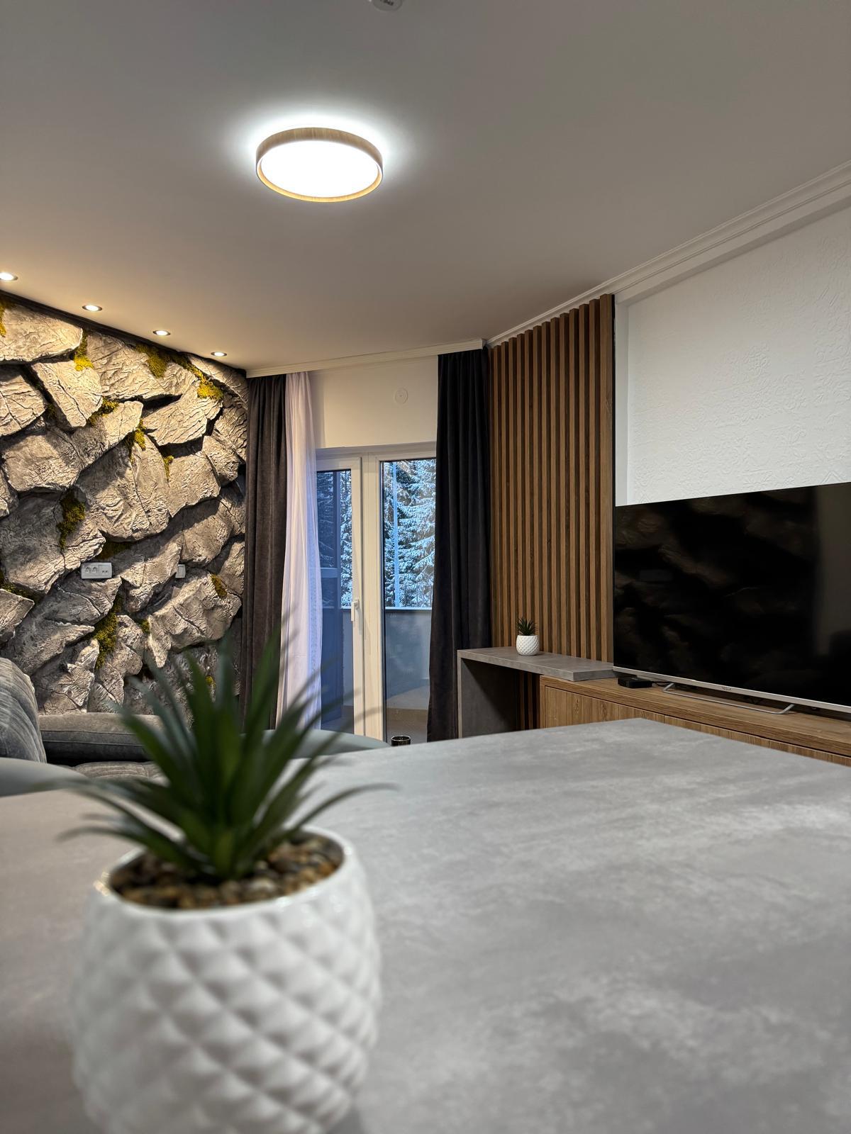 Sunčana Planina Apt01 - Photo 1