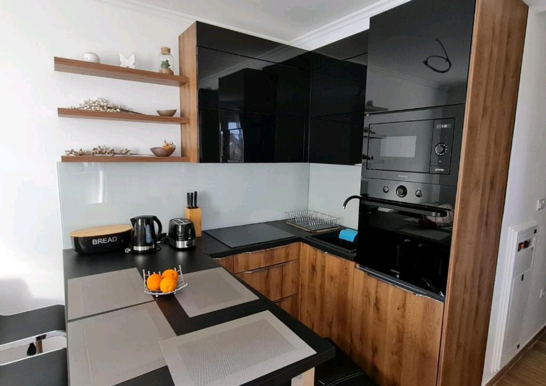 Suncana Planina - Apt 03 Centar  - Photo 4